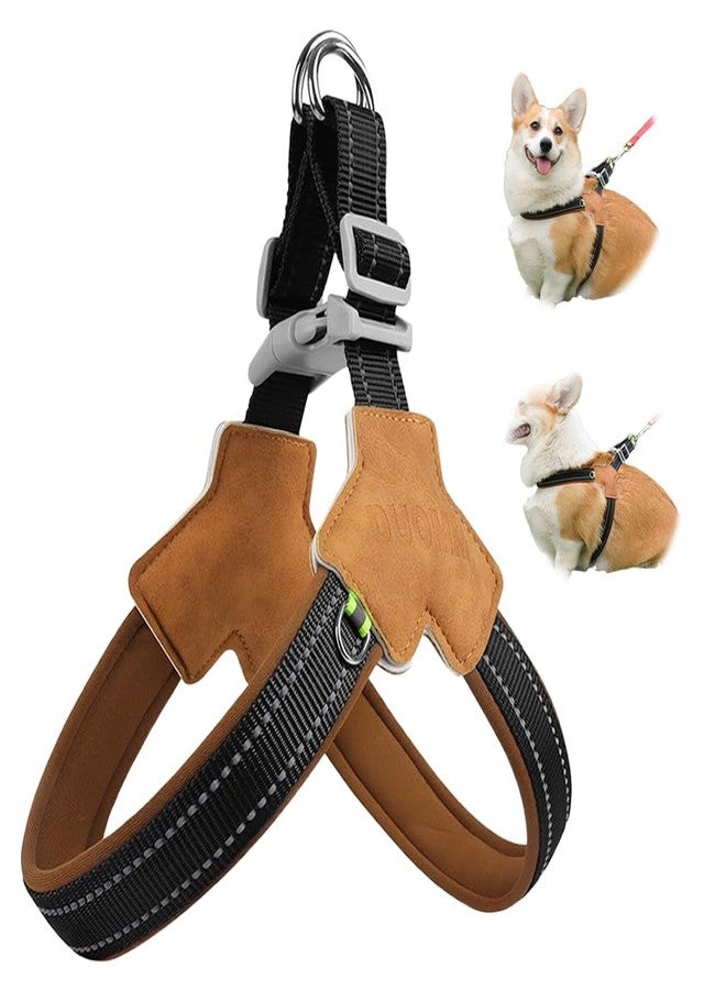 Qpets®Reflective Dog Harness Adjustable Y-Shape Pet Vest with Dual D-Rings, Soft Padded Design, Quick Release Buckle & No-Pull Design, Safe Night Walking Dog Harness with Reflective Stitches - Image 1
